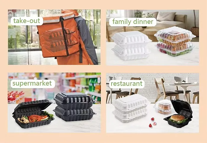 product-700-485 product-700-485